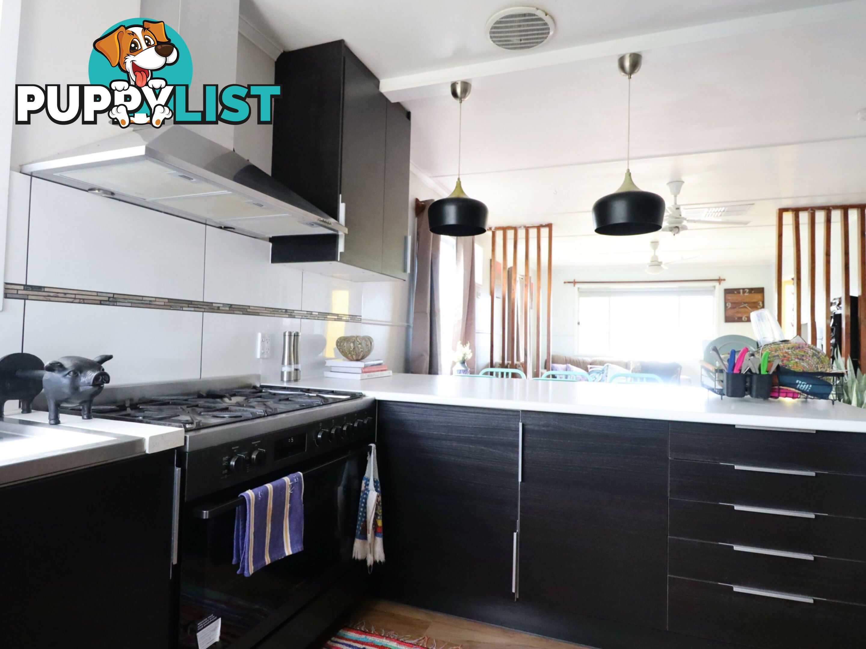 31 Jackson Street ROMA QLD 4455