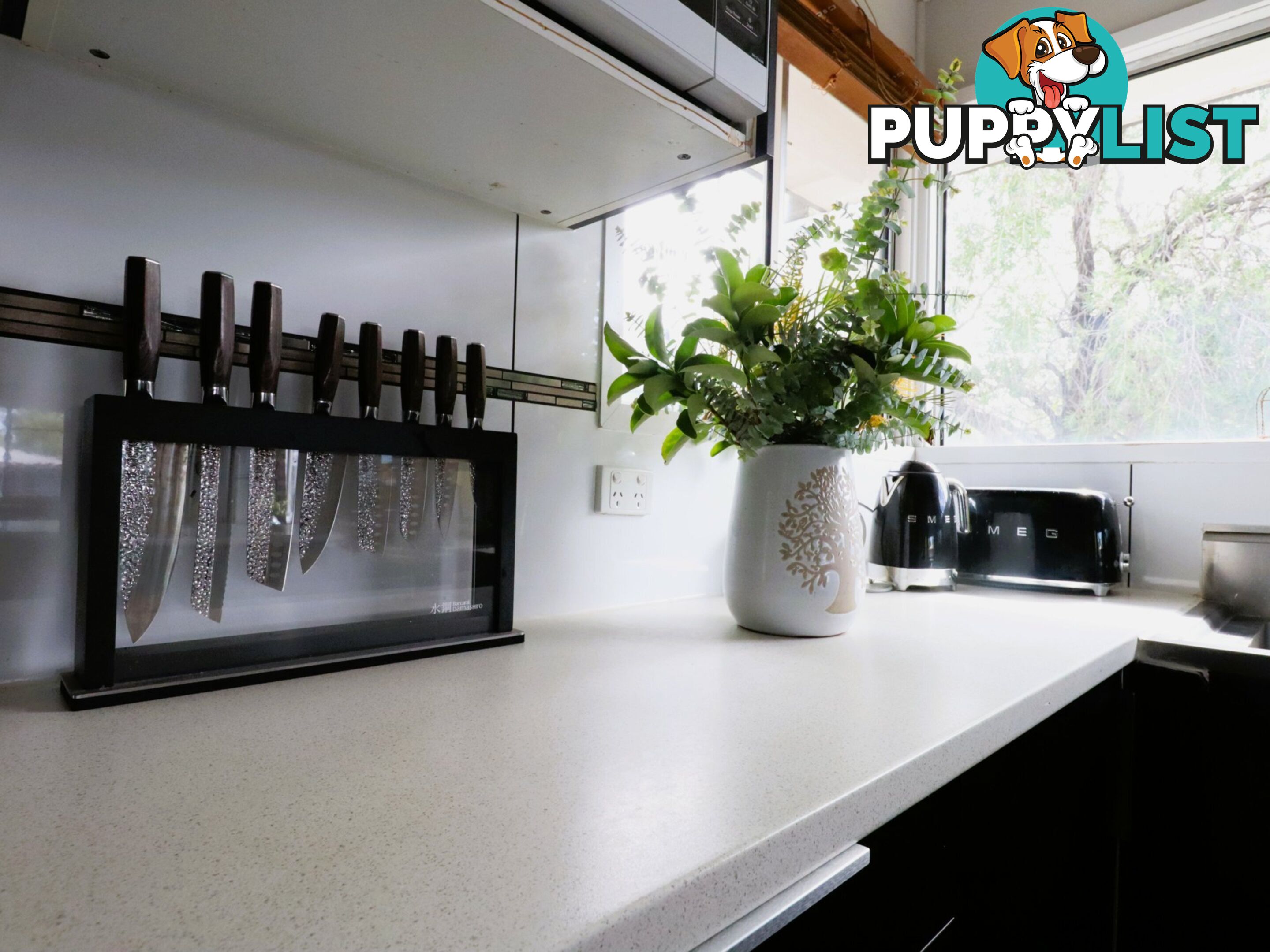 31 Jackson Street ROMA QLD 4455