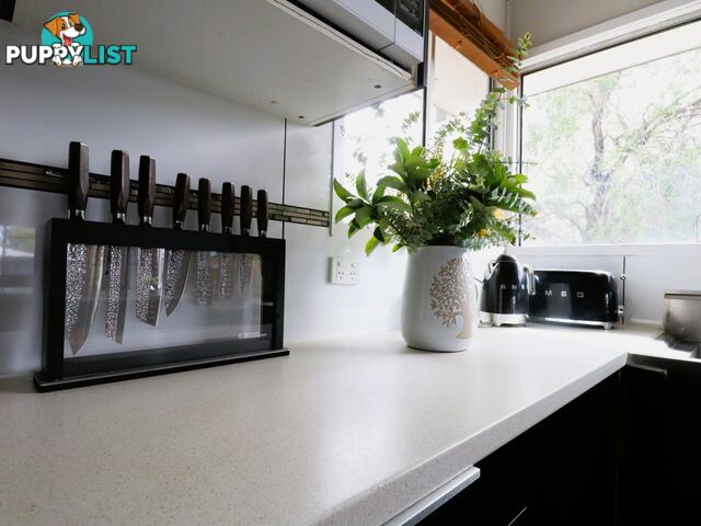 31 Jackson Street ROMA QLD 4455