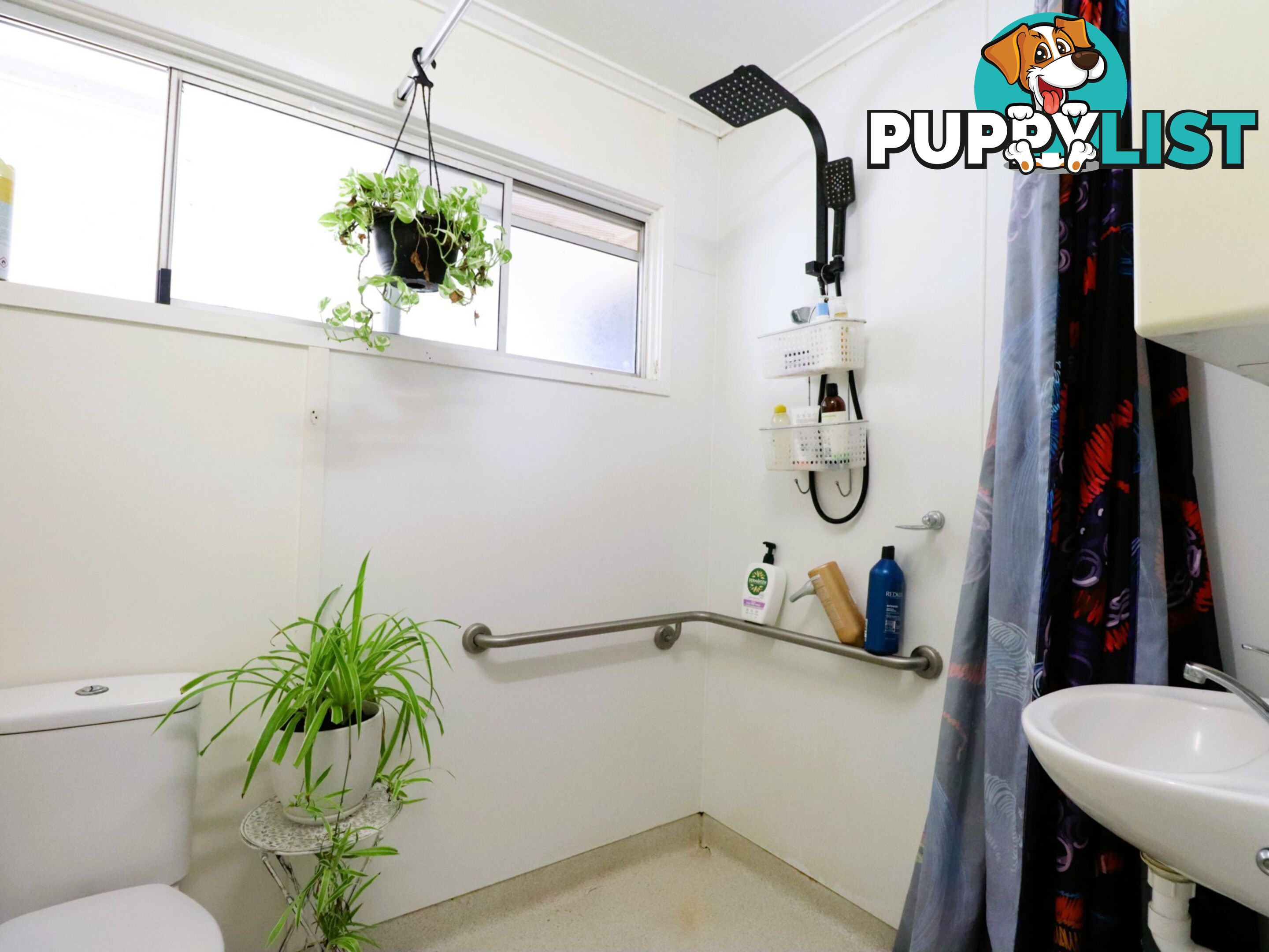 31 Jackson Street ROMA QLD 4455