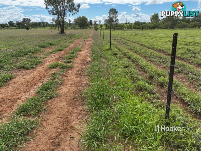 Lot 7 Burnsdale Road ROMA QLD 4455