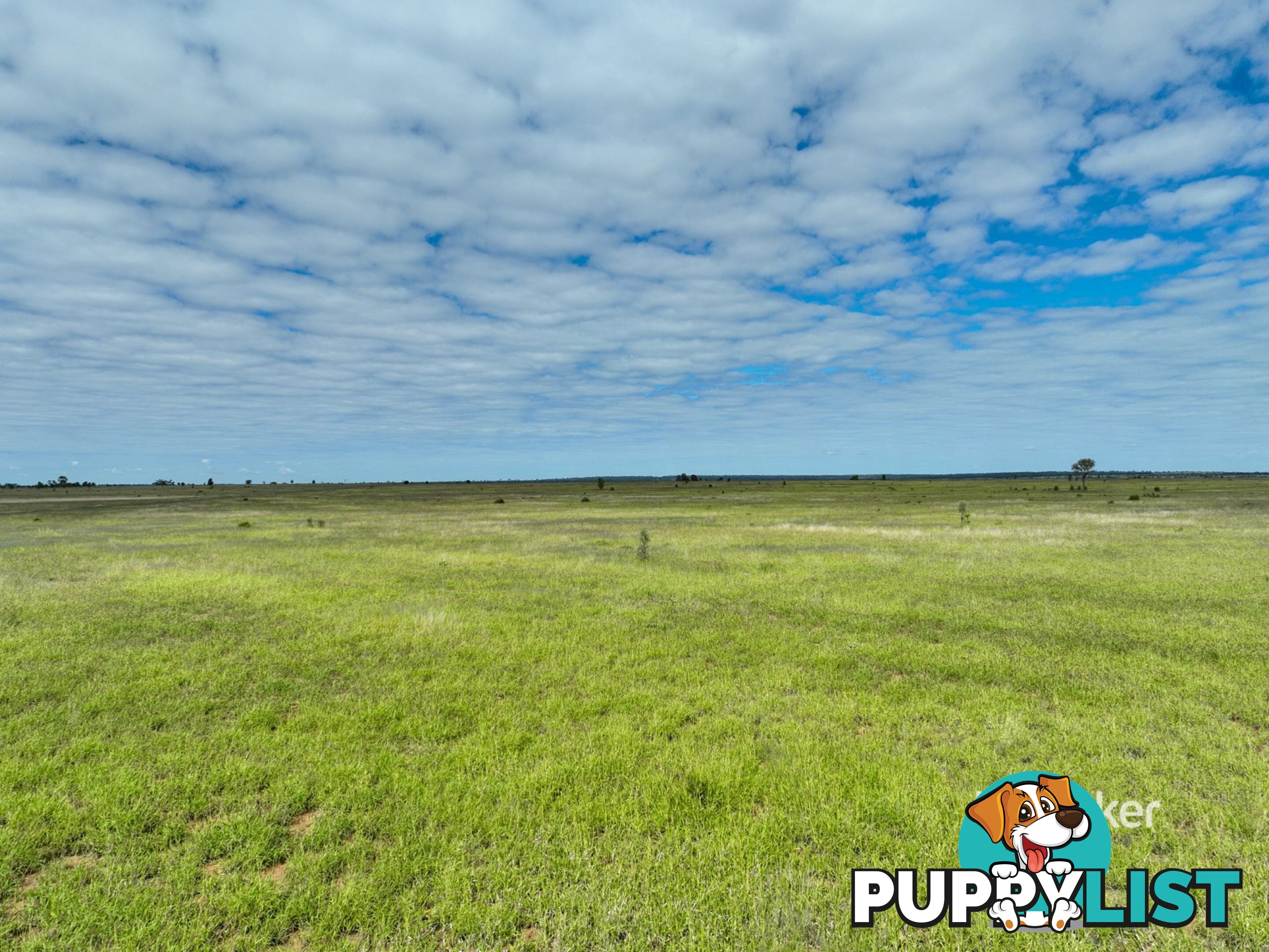 Lot 7 Burnsdale Road ROMA QLD 4455