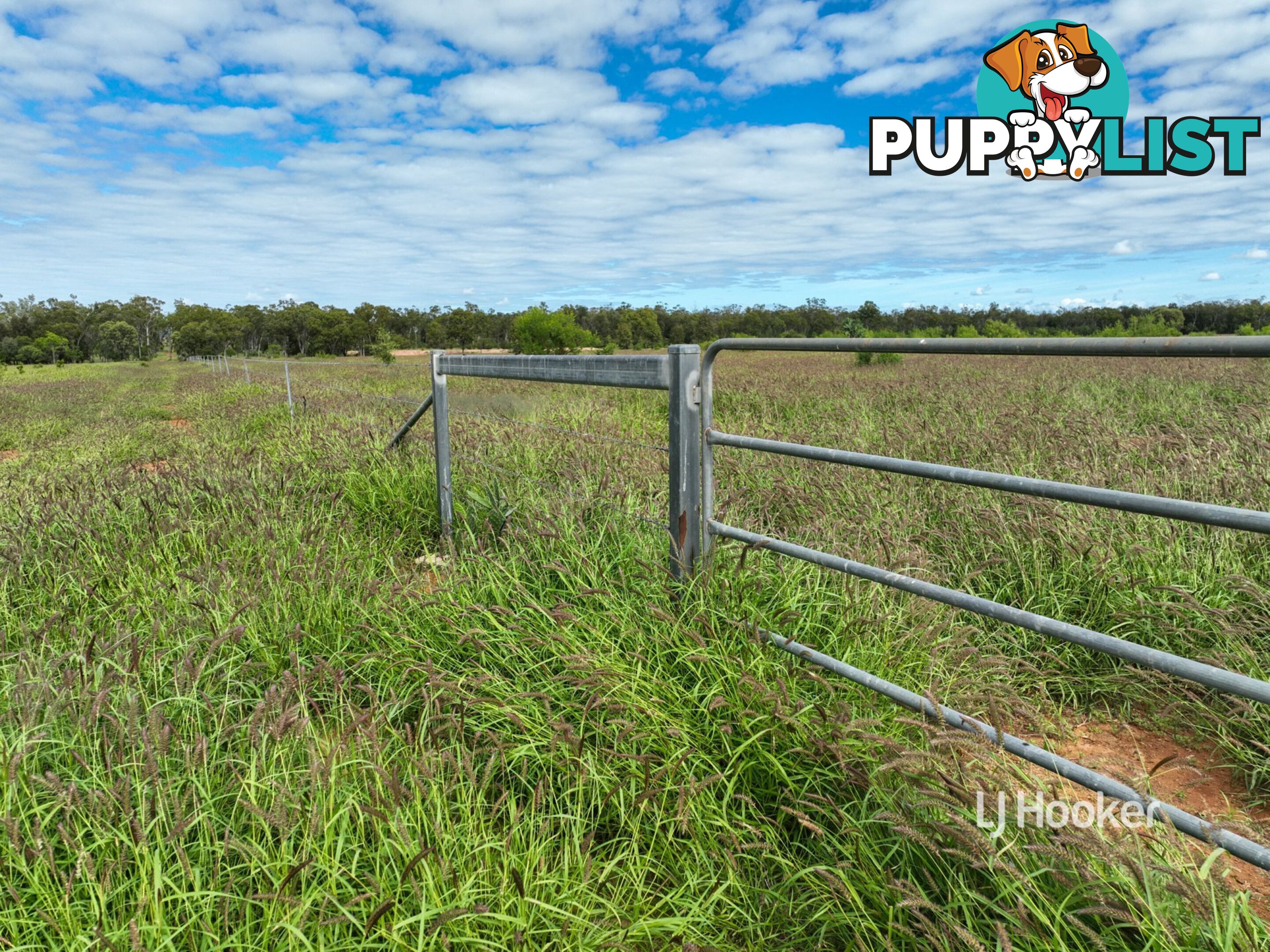 Lot 7 Burnsdale Road ROMA QLD 4455