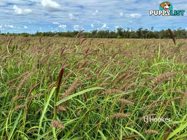 Lot 7 Burnsdale Road ROMA QLD 4455