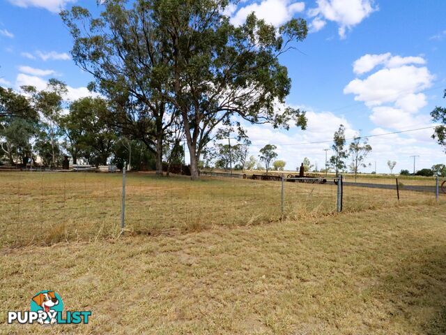 Lot 1 and College Street WALLUMBILLA QLD 4428