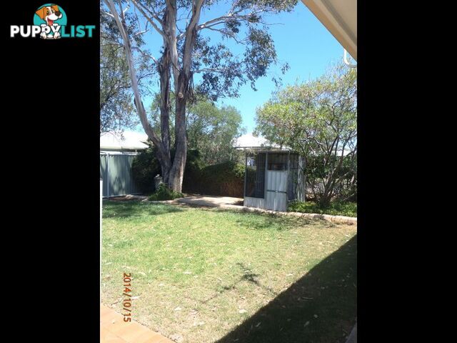 31 Allen Street ROMA QLD 4455