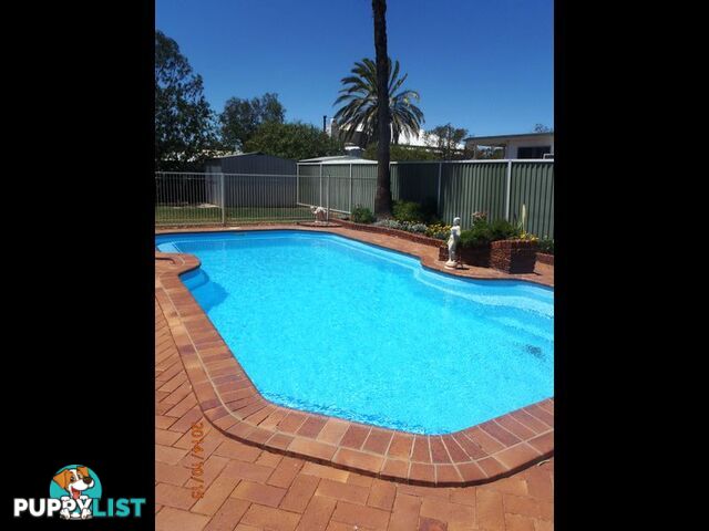 31 Allen Street ROMA QLD 4455