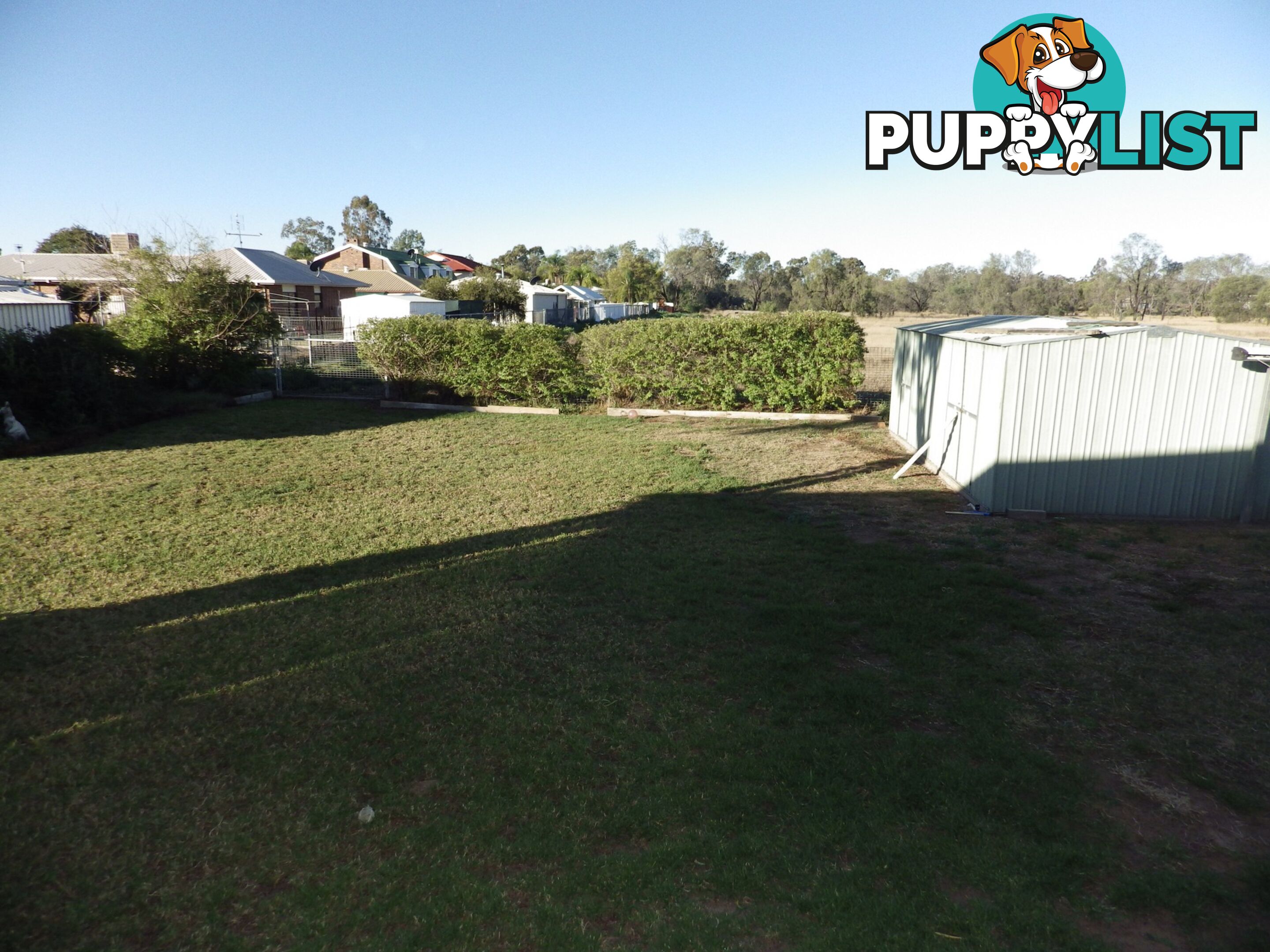 2 Borland Street ROMA QLD 4455