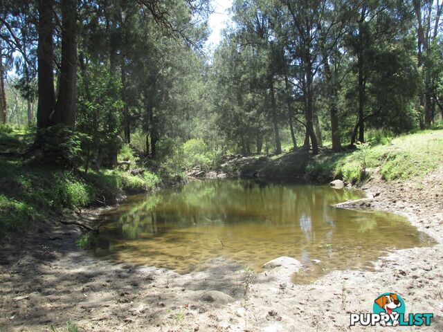 'Mt Hetty' Saddlers Road INJUNE QLD 4454