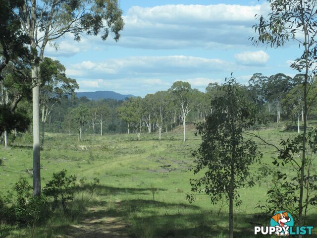 'Mt Hetty' Saddlers Road INJUNE QLD 4454