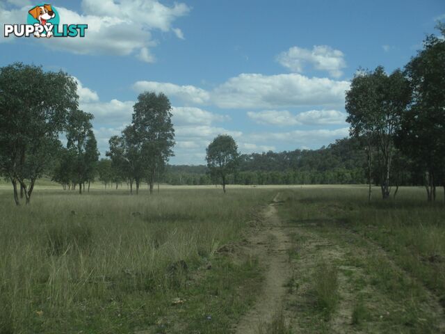 'Mt Hetty' Saddlers Road INJUNE QLD 4454