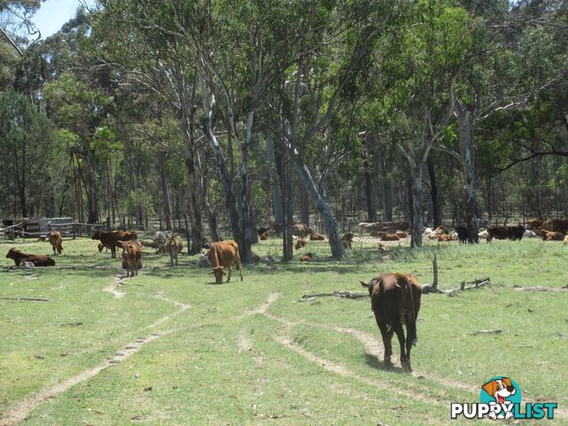 'Mt Hetty' Saddlers Road INJUNE QLD 4454