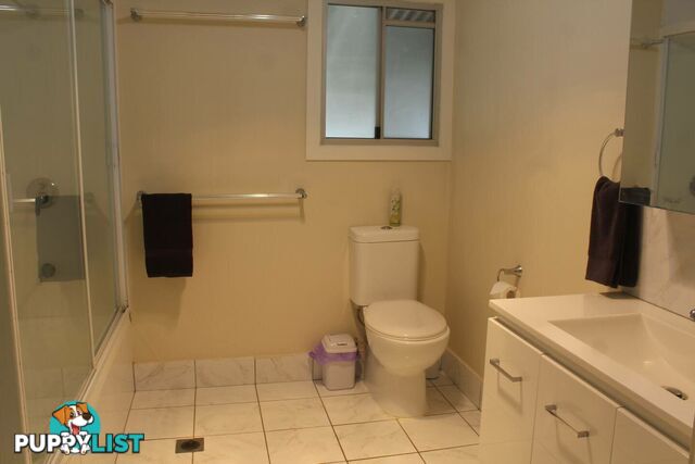 79 Hawthorne Street ROMA QLD 4455