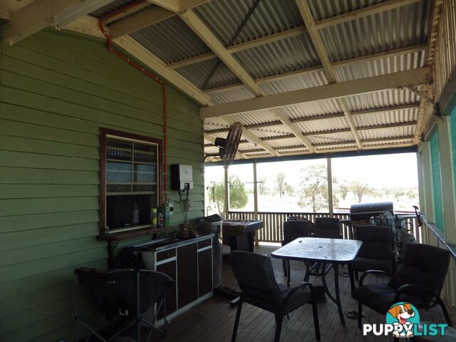 302 Gerhardts Lane ROMA QLD 4455