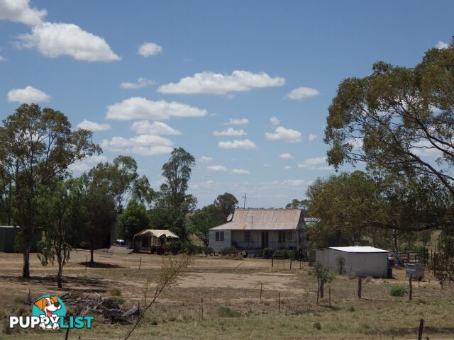 302 Gerhardts Lane ROMA QLD 4455