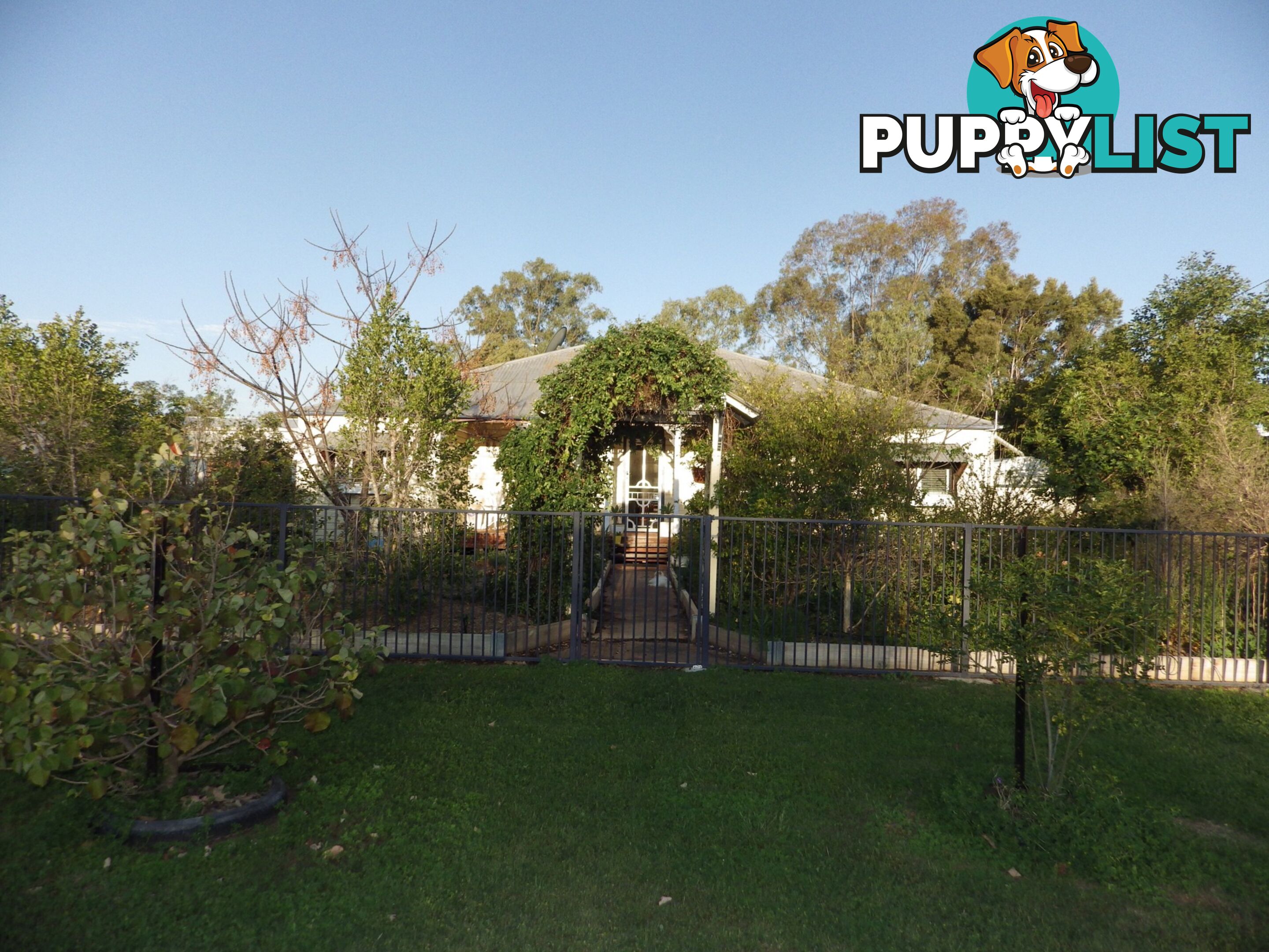 6 Gregory Street ROMA QLD 4455