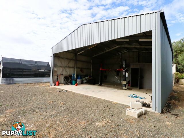 8 Mayne Street ROMA QLD 4455