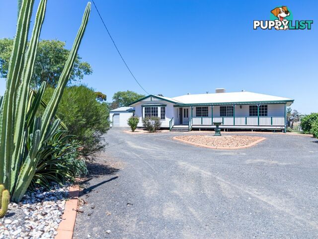 17 Rosedale Close ROMA QLD 4455