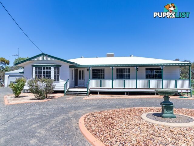 17 Rosedale Close ROMA QLD 4455