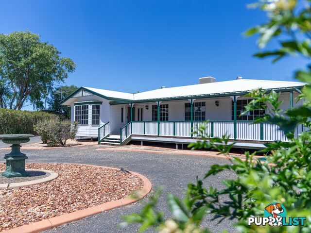 17 Rosedale Close ROMA QLD 4455