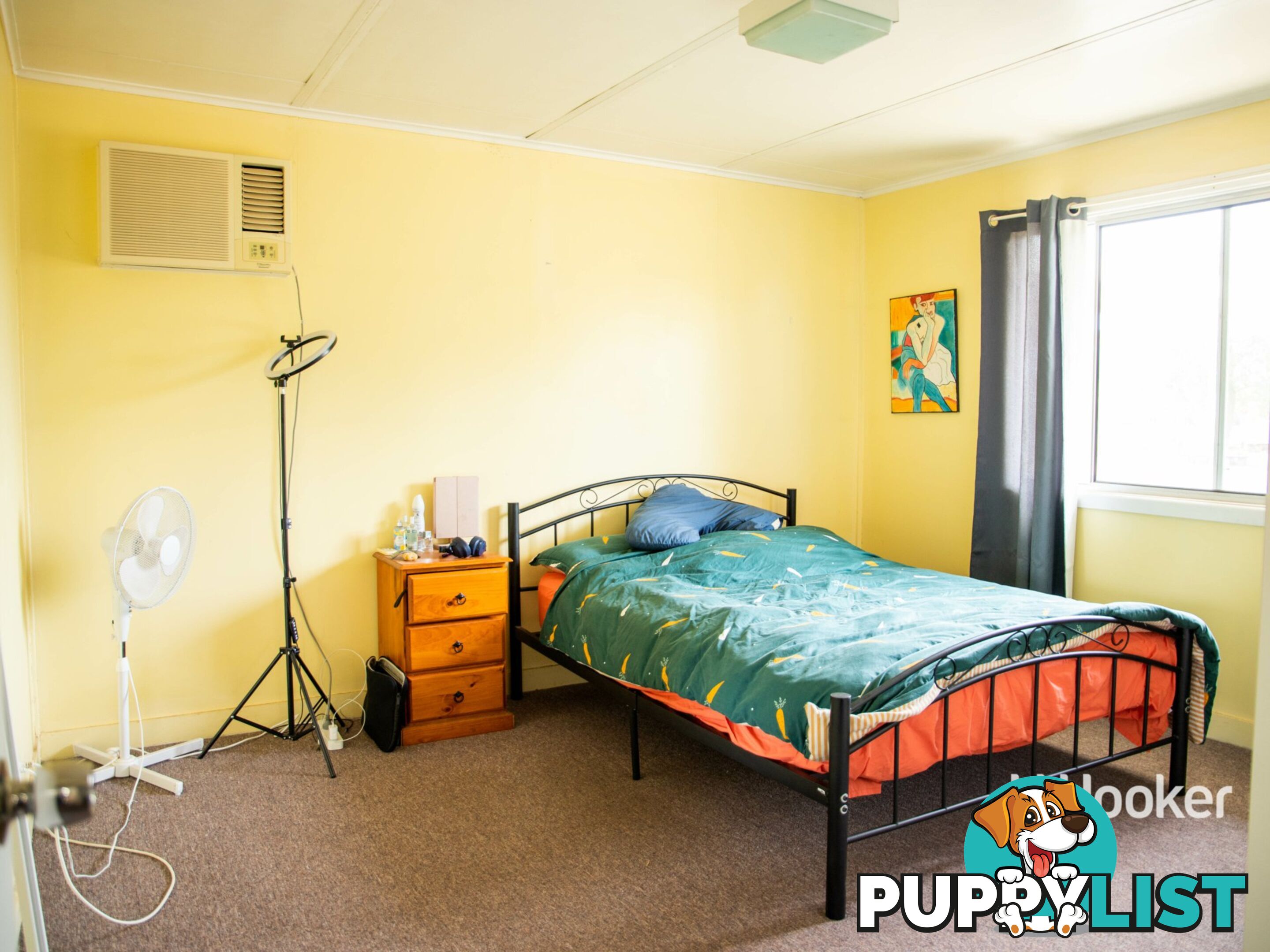 3 Wright Street ROMA QLD 4455