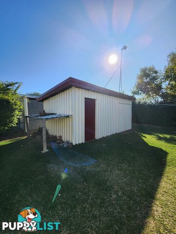 41 Taylor Street ROMA QLD 4455