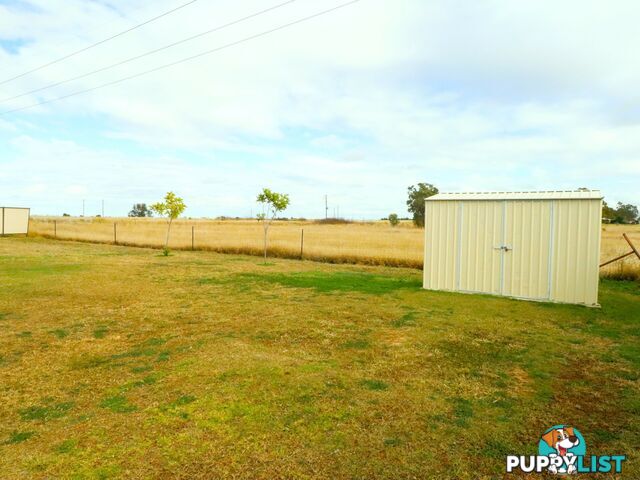 41 Robusta Drive ROMA QLD 4455