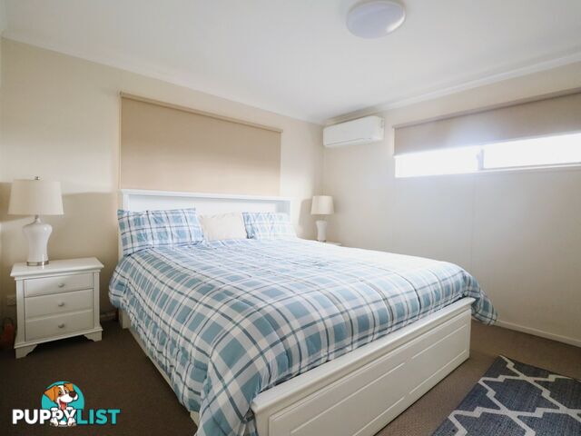 41 Robusta Drive ROMA QLD 4455