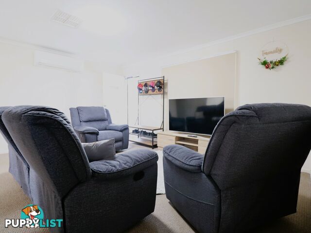 41 Robusta Drive ROMA QLD 4455