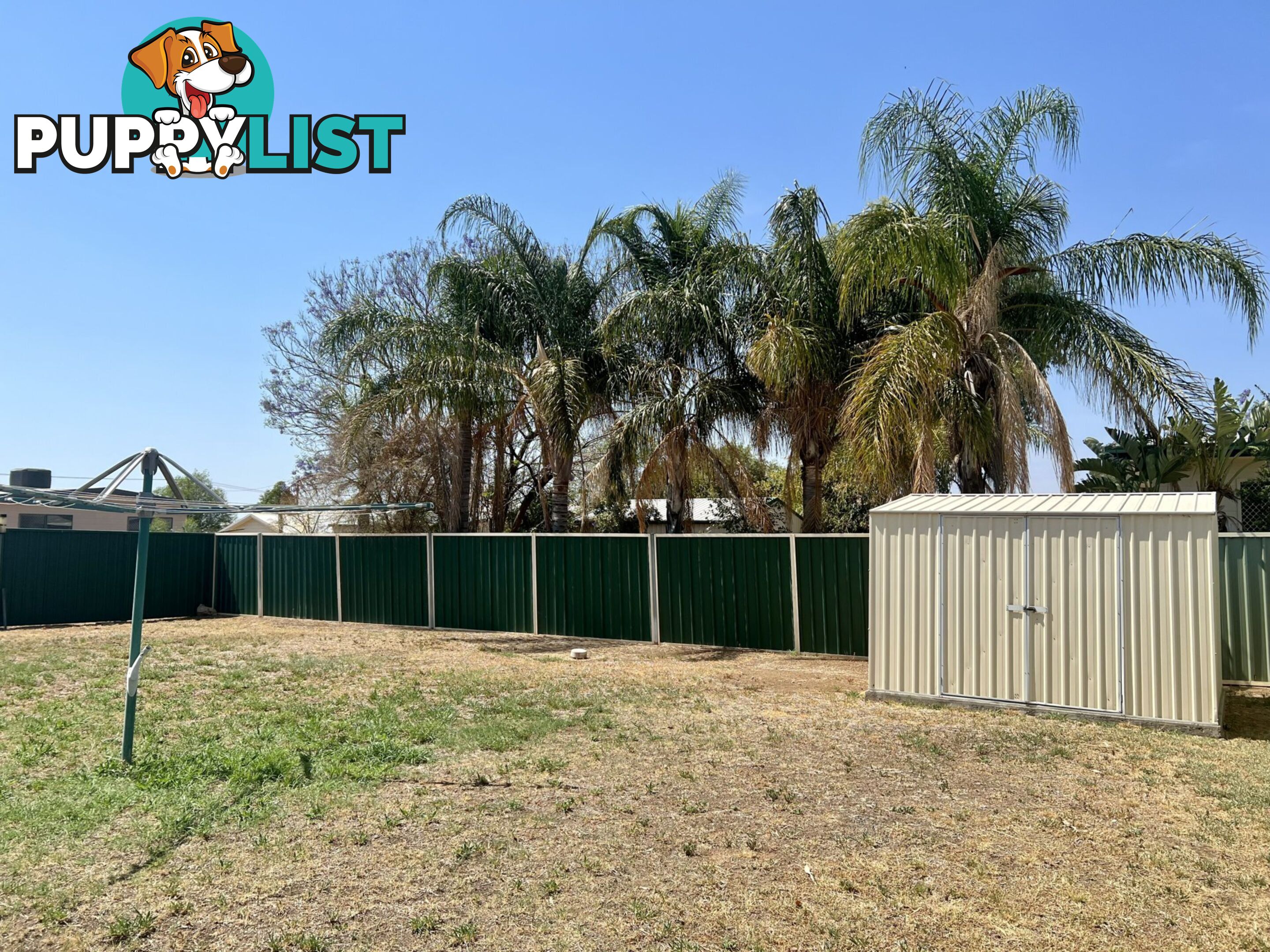24 South Street ROMA QLD 4455