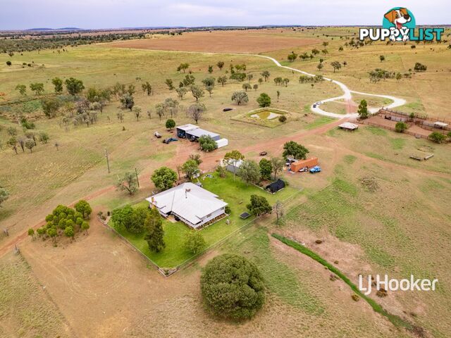 1408 "Bindango" - Bindango Road ROMA QLD 4455