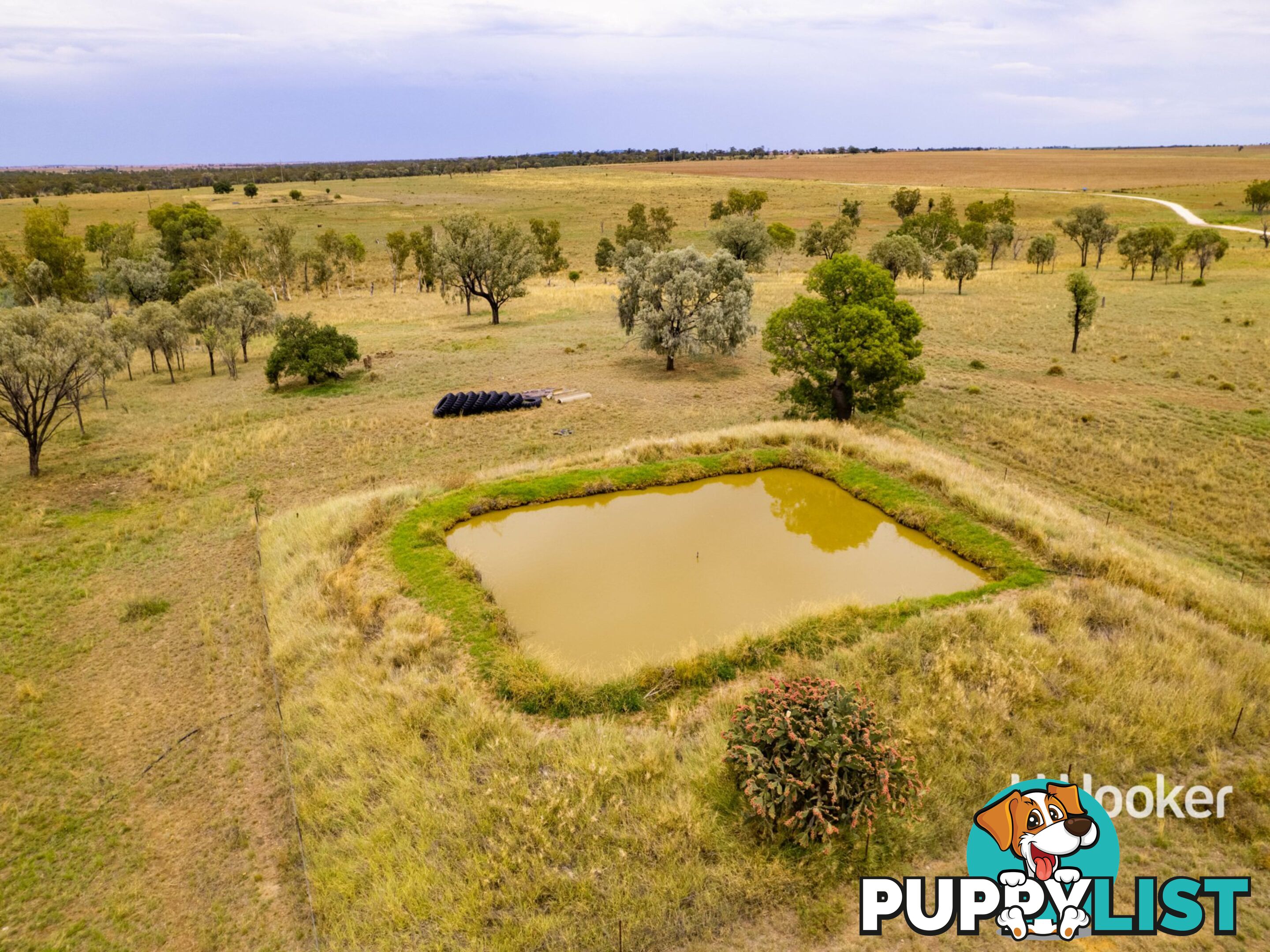 1408 "Bindango" - Bindango Road ROMA QLD 4455