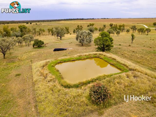 1408 "Bindango" - Bindango Road ROMA QLD 4455