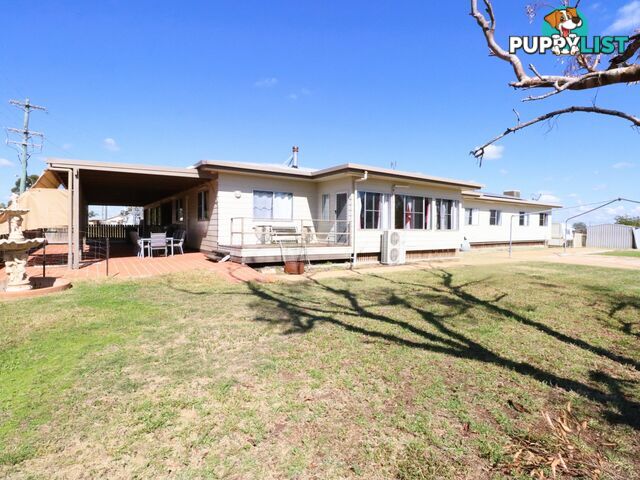 6 - 12 Hanly Street ROMA QLD 4455