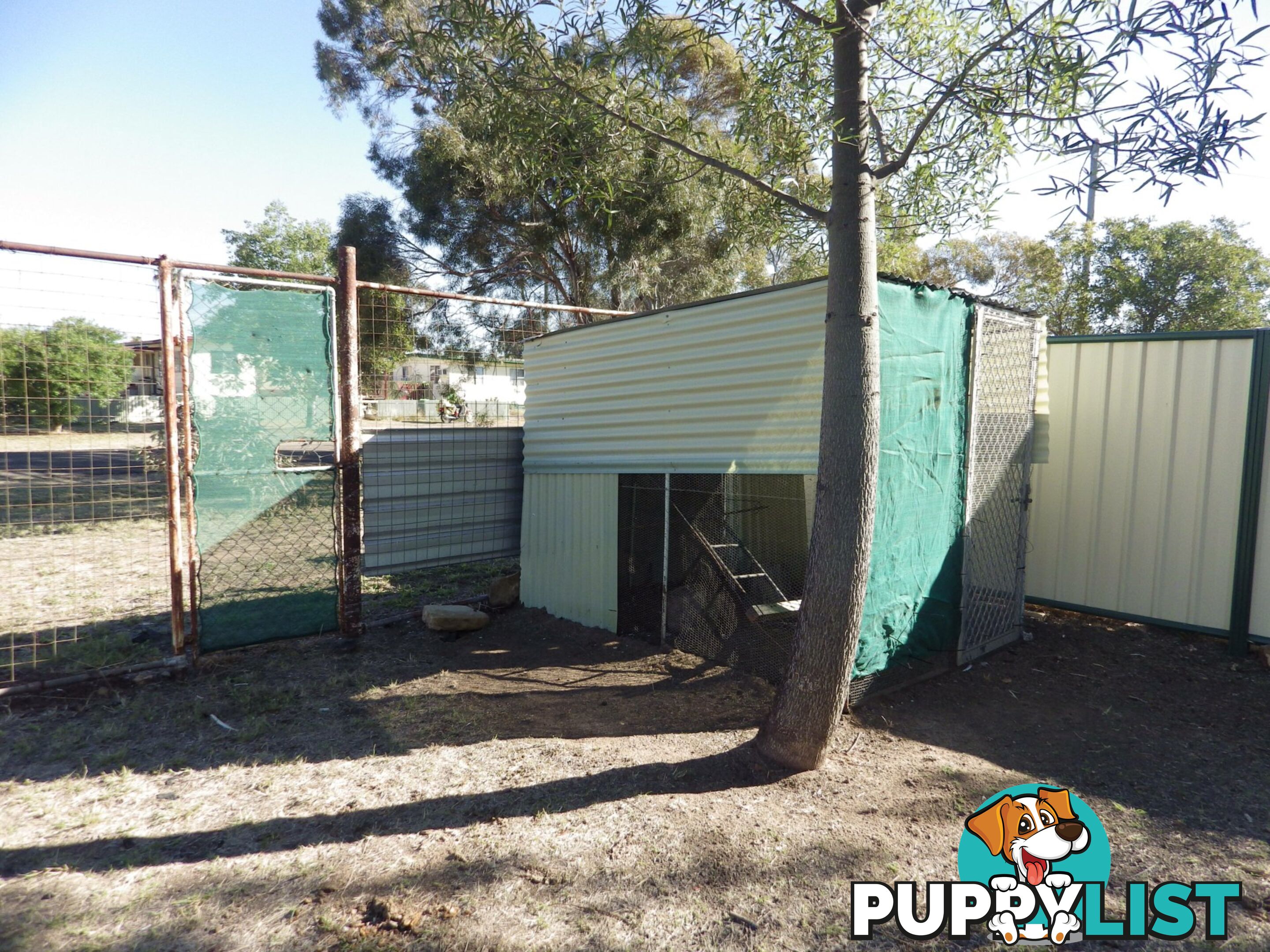 55 Raglan Street ROMA QLD 4455