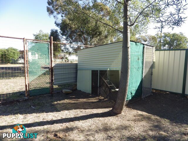 55 Raglan Street ROMA QLD 4455