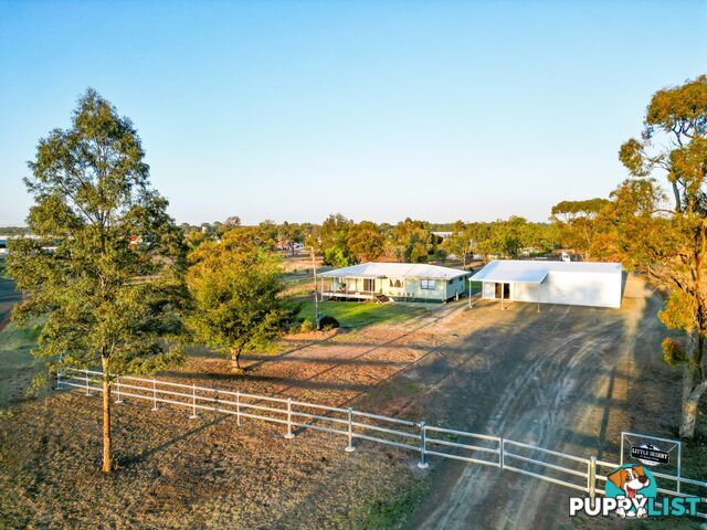 11 Roslyn Drive ROMA QLD 4455