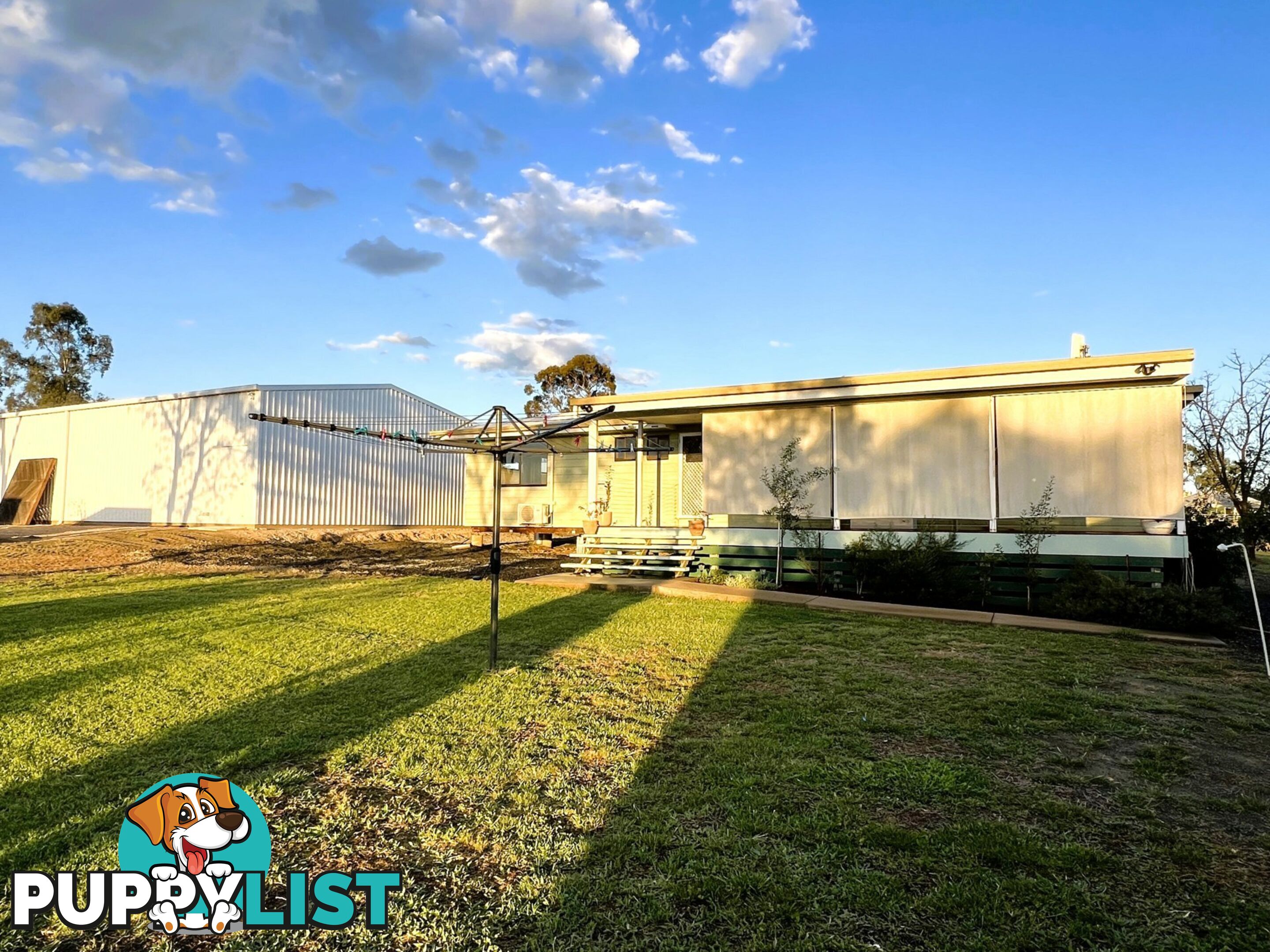 11 Roslyn Drive ROMA QLD 4455