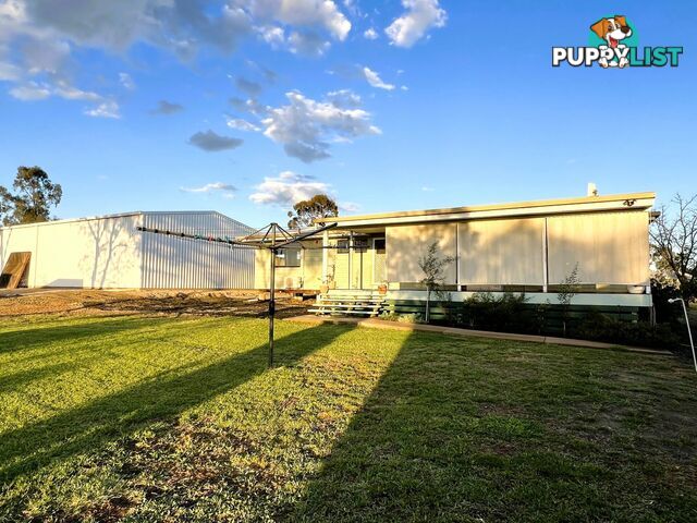 11 Roslyn Drive ROMA QLD 4455