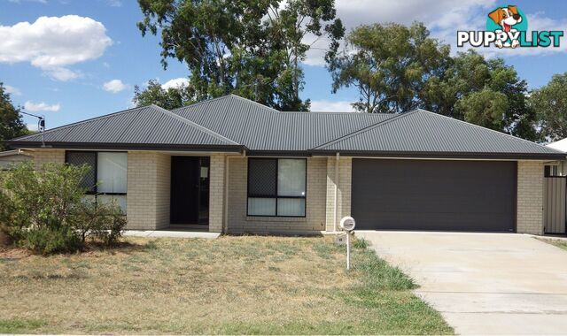 13 Courtney Street ROMA QLD 4455