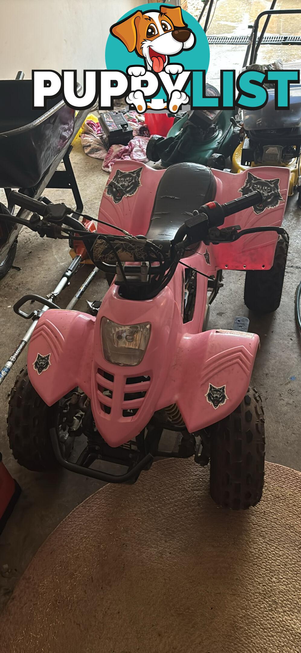 2014 ATOMIK Feral 110