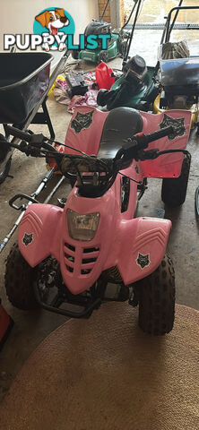 2014 ATOMIK Feral 110