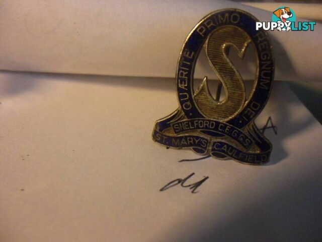 VINTAGE St Marys Caulfield School Badge Old Pin Intact