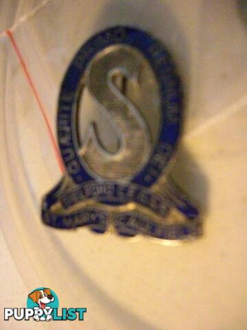 VINTAGE St Marys Caulfield School Badge Old Pin Intact