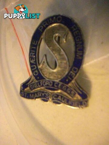 VINTAGE St Marys Caulfield School Badge Old Pin Intact