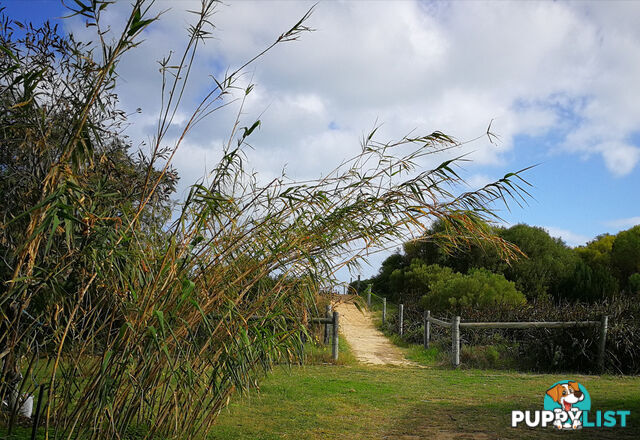 Site 104 Kununura Way COOGEE WA 6166