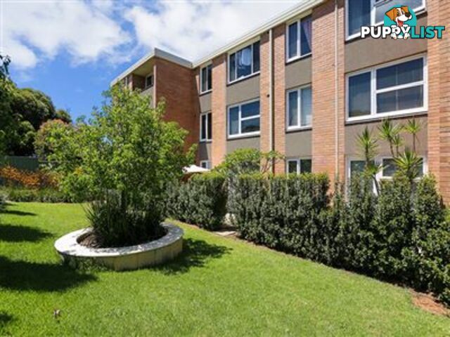 3/221 Clontarf Road HAMILTON HILL WA 6163