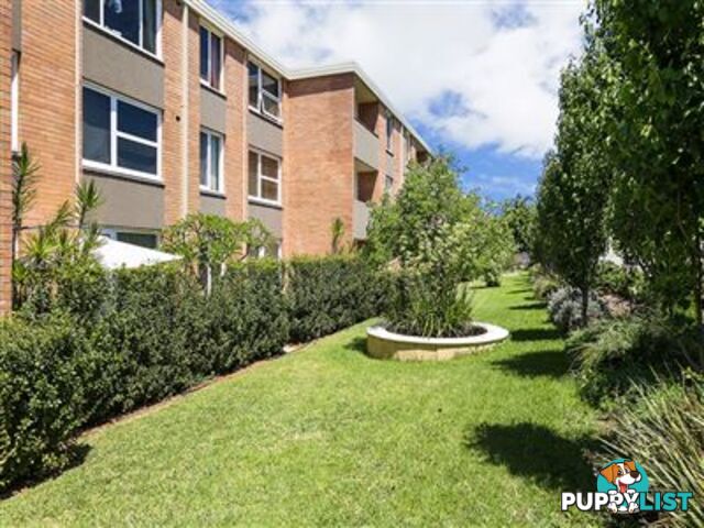 3/221 Clontarf Road HAMILTON HILL WA 6163