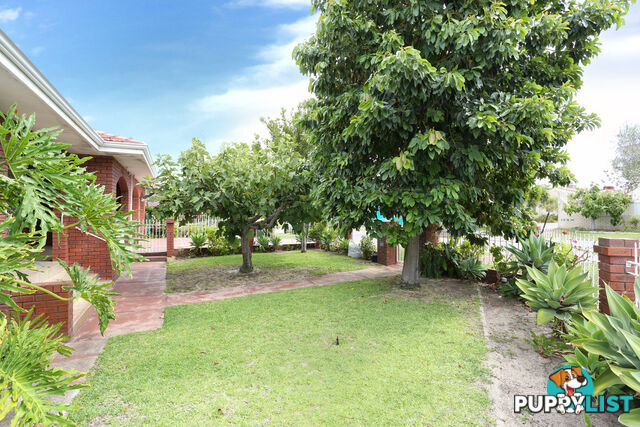 1 Grose Way NORANDA WA 6062