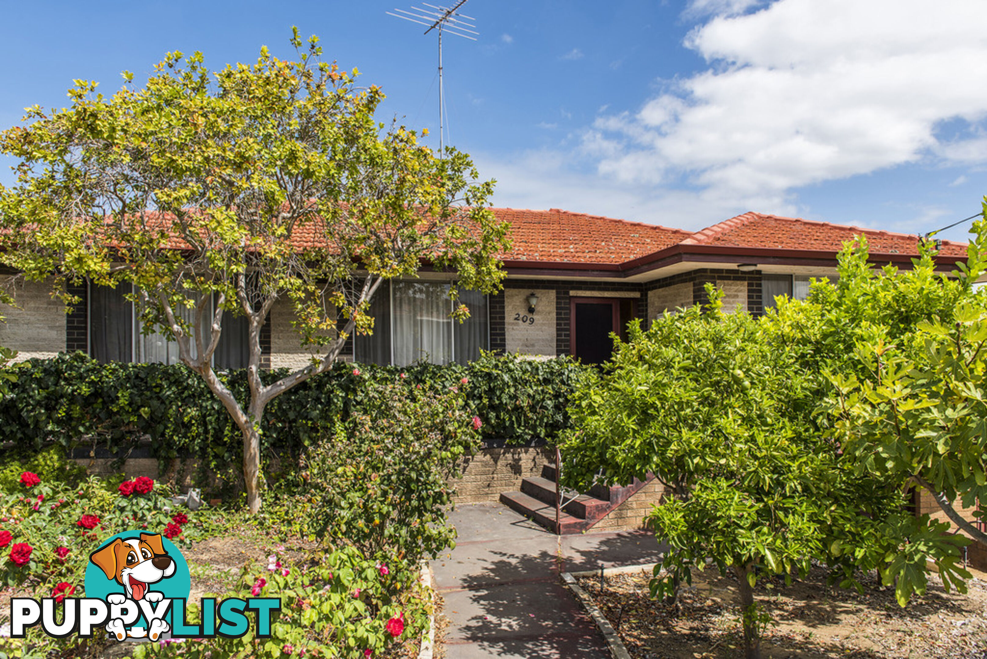 209 Rockingham Road HAMILTON HILL WA 6163